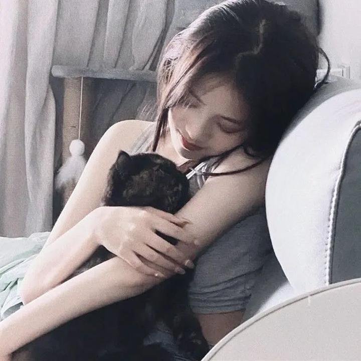 新沙洞燕子